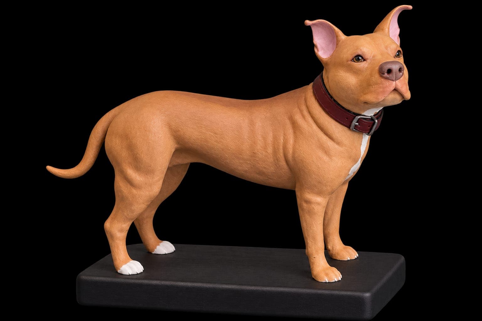 Dog photographed for a custom three-dimensional portrait