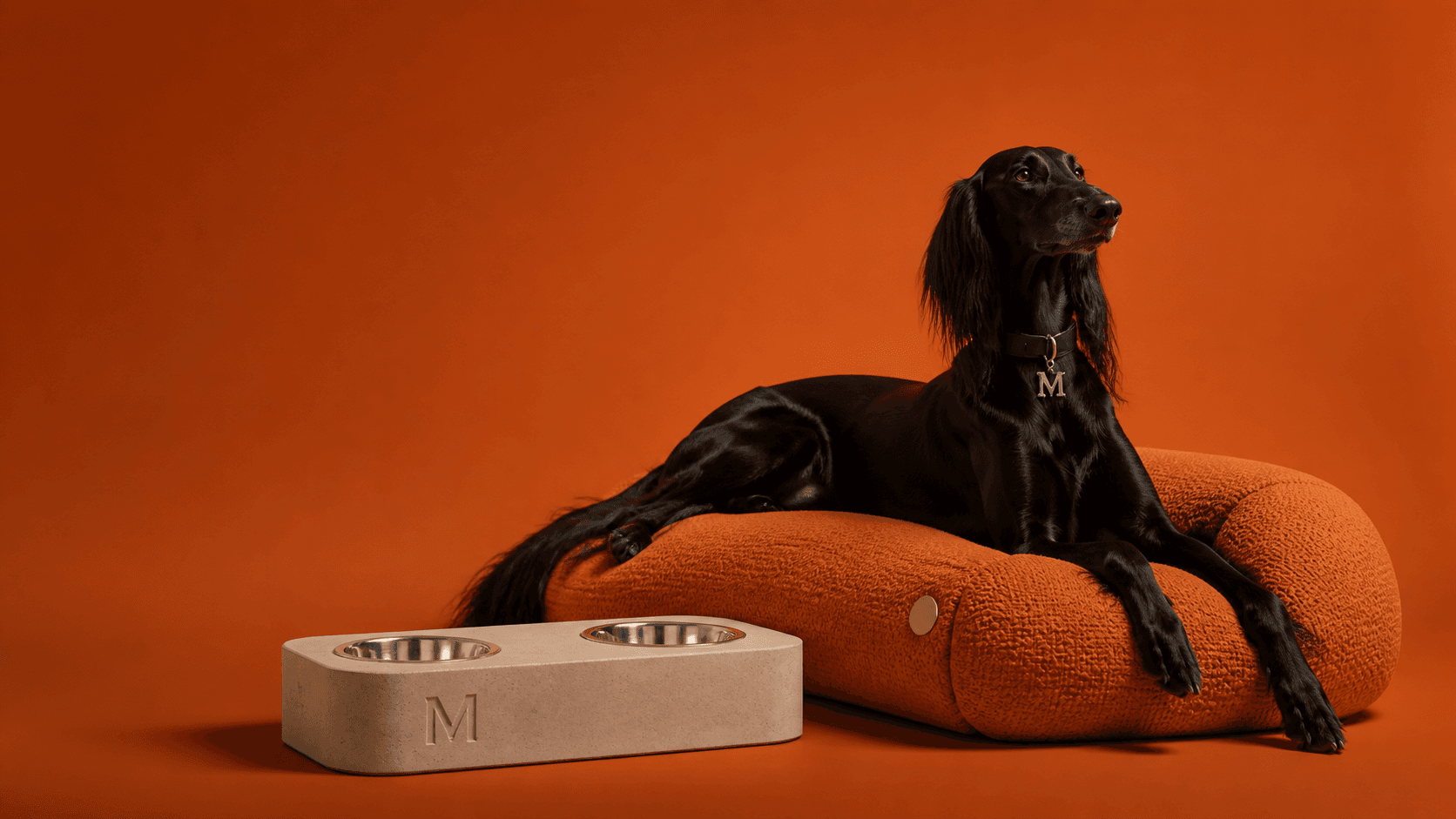 Black sighthound on an orange bed beside a personalised feeding station